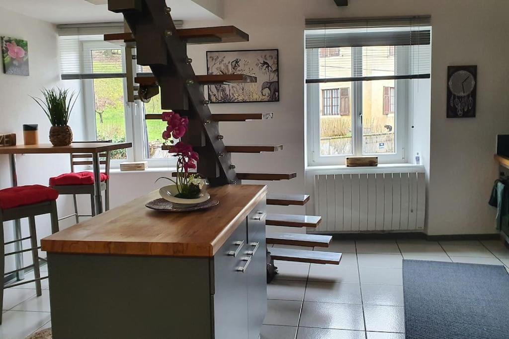 Apartament Loft Gaia Brunstatt-Didenheim Zewnętrze zdjęcie