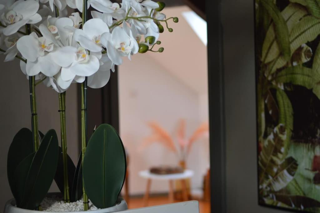 Apartament Loft Gaia Brunstatt-Didenheim Zewnętrze zdjęcie