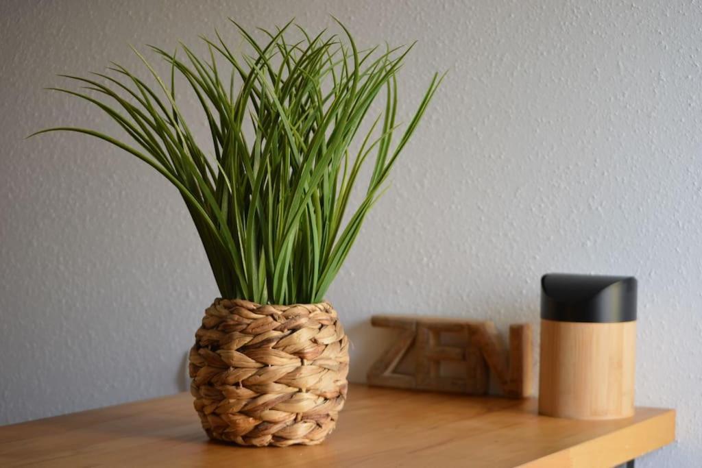Apartament Loft Gaia Brunstatt-Didenheim Zewnętrze zdjęcie