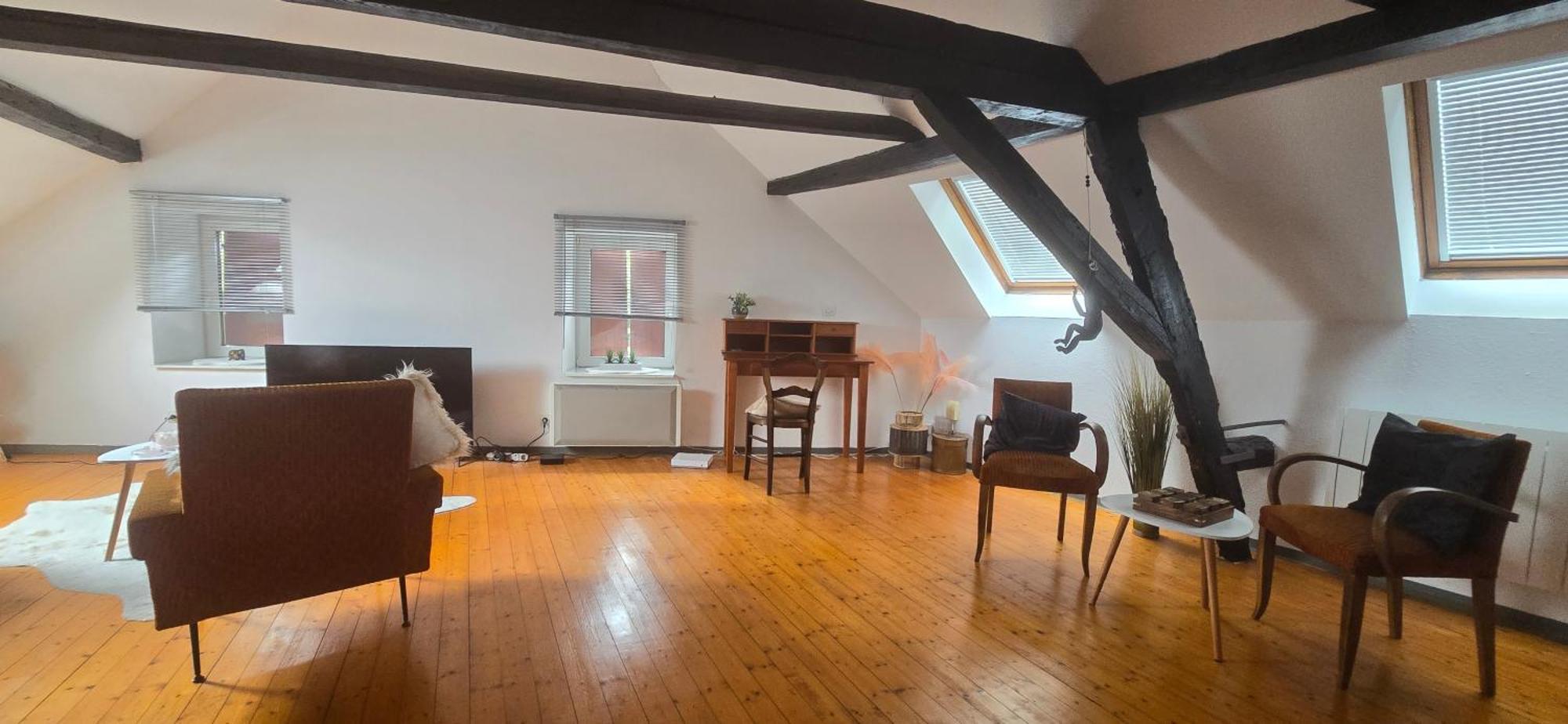 Apartament Loft Gaia Brunstatt-Didenheim Zewnętrze zdjęcie